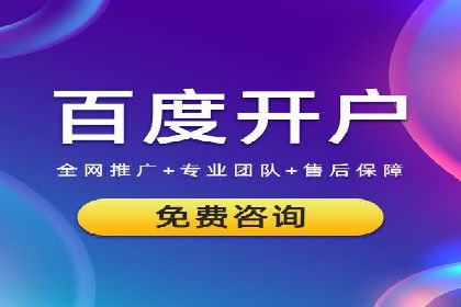 XX领域竞价广告的投放策略及效果展示